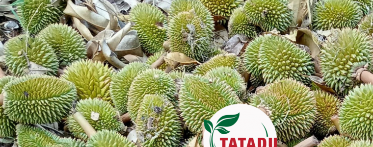 VI SAO TRAI RUNG SAU 40–60 NGAY NGUYEN NHAN CACH KHAC PHUC HIEU QUA