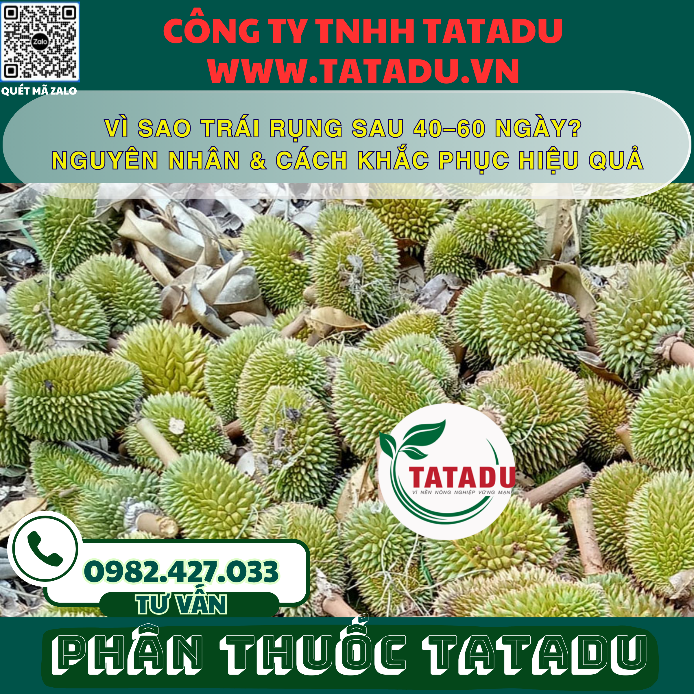 VI SAO TRAI RUNG SAU 40–60 NGAY NGUYEN NHAN CACH KHAC PHUC HIEU QUA