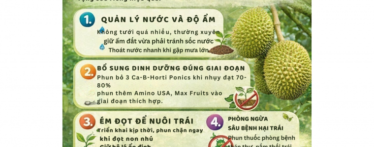 5 KY THUAT GIU TRAI SAU RIENG SAU XO NHUY 1