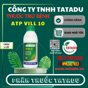 ATP VILL 10