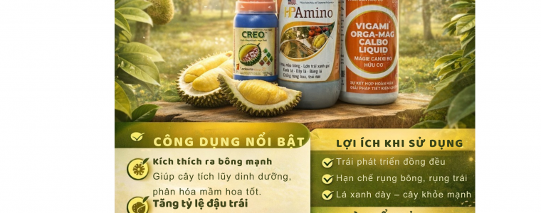BO DINH DUONG NUOI TRAI SAU RIENG HIEU QUA