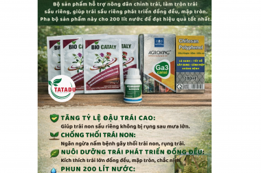 BỘ SẢN PHẨM GIÚP NÔNG HỘC – CHỈNH TRÁI – LÀM TRÒN TRÁI SẦU RIÊNG HIỆU QUẢ