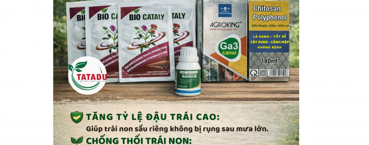 BO SAN PHAM HO TRO NONG DAN CHINH TRAI LAM TRON TRAI SAU RIENG