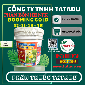 BOOMING GOLD 12 11 18TE HITOCO