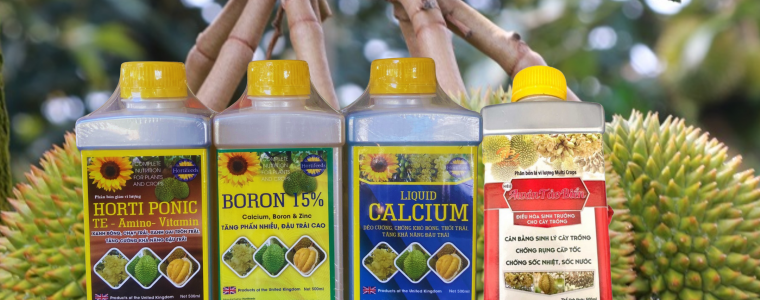 Bo dinh duong ho tro chay trai hieu qua BORON 15 HORTI PONIC LIQUID CALCIUM AUXIN TAO BIEN