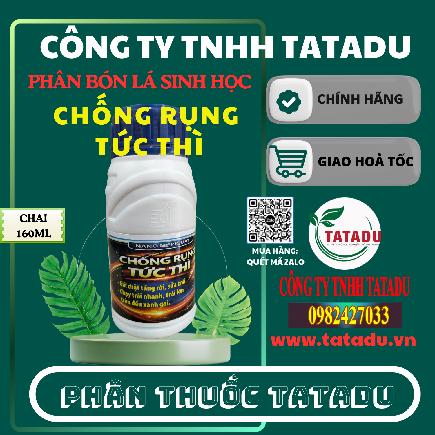 CHỐNG RỤNG TỨC THÌ