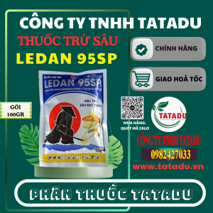 LEDAN 95SP 1