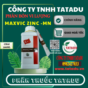 MAXVIC ZINC MN