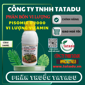 PISOMIX B 2000 VI LUONG VITAMIN