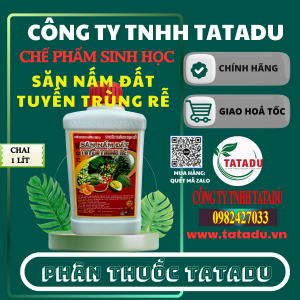 SAN NAM DAT TUYEN TRUNG RE