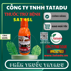 SAT 4SL NAM BAC