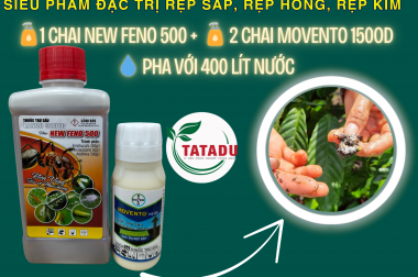 ĐẶC TRỊ RỆP SÁP, RỆP HỒNG HIỆU QUẢ TRÊN CÂY TRỒNG – GIẢI PHÁP CẮT NGUỒN LÂY LAN NHANH CHÓNG