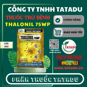 THALONIL 75WP SINOCHEM