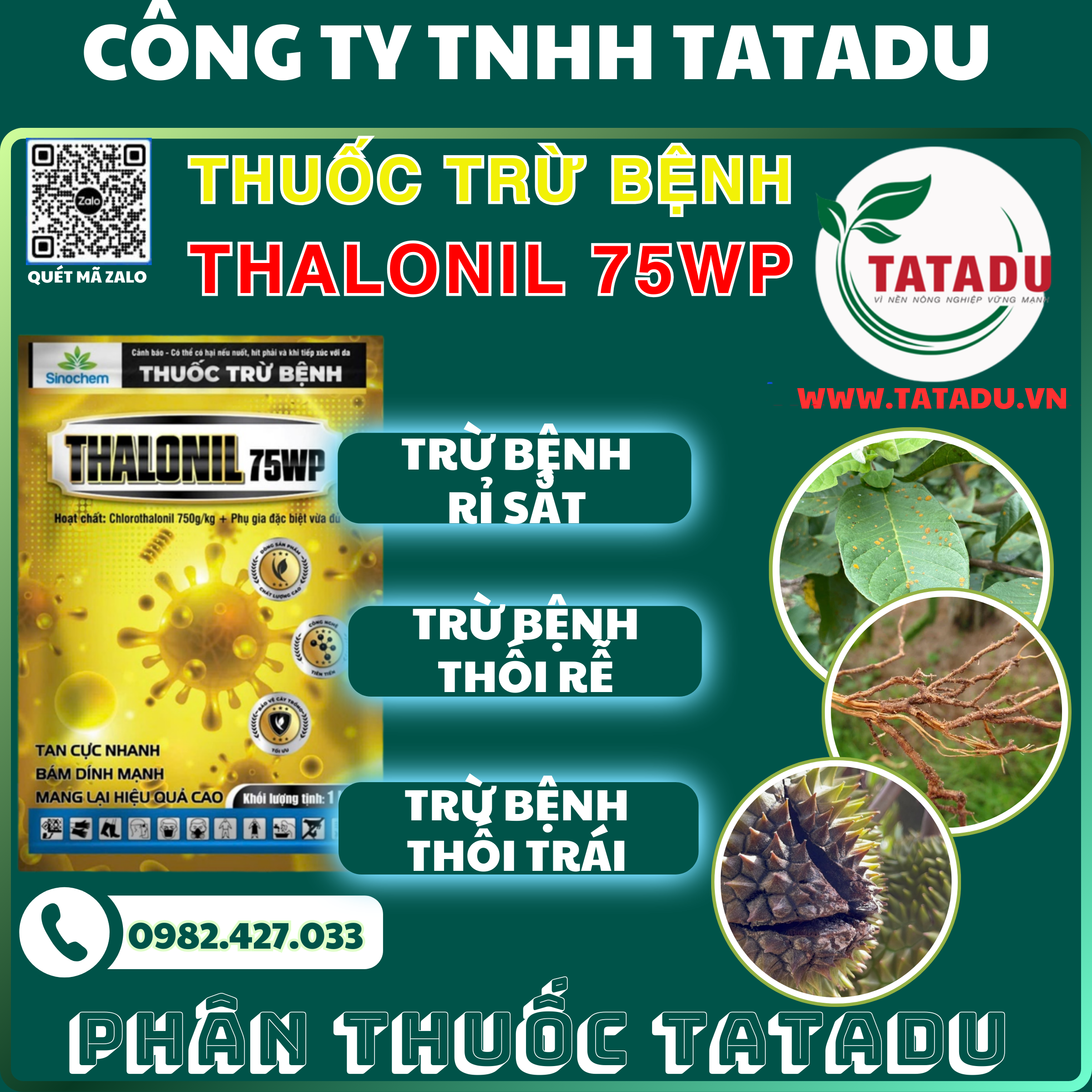 THALONIL 75WP TRU BENH RI SAT THOI RE THOI TRAI THALONIL 75WP TRU BENH RI SAT THOI RE THOI TRAI