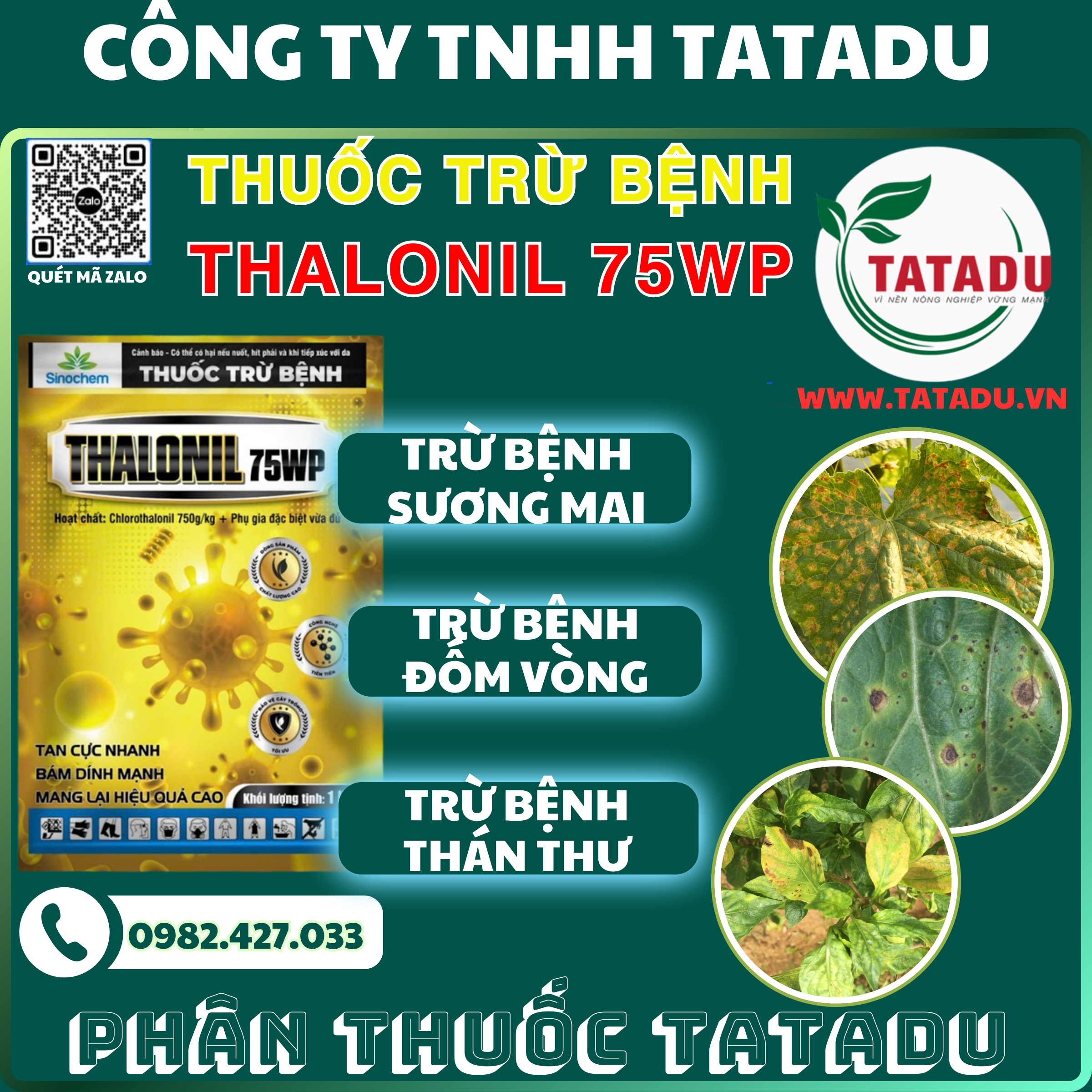 THALONIL 75WP TRU BENH SUONG MAI DOM VONG THAN THU THALONIL 75WP TRU BENH SUONG MAI DOM VONG THAN THU