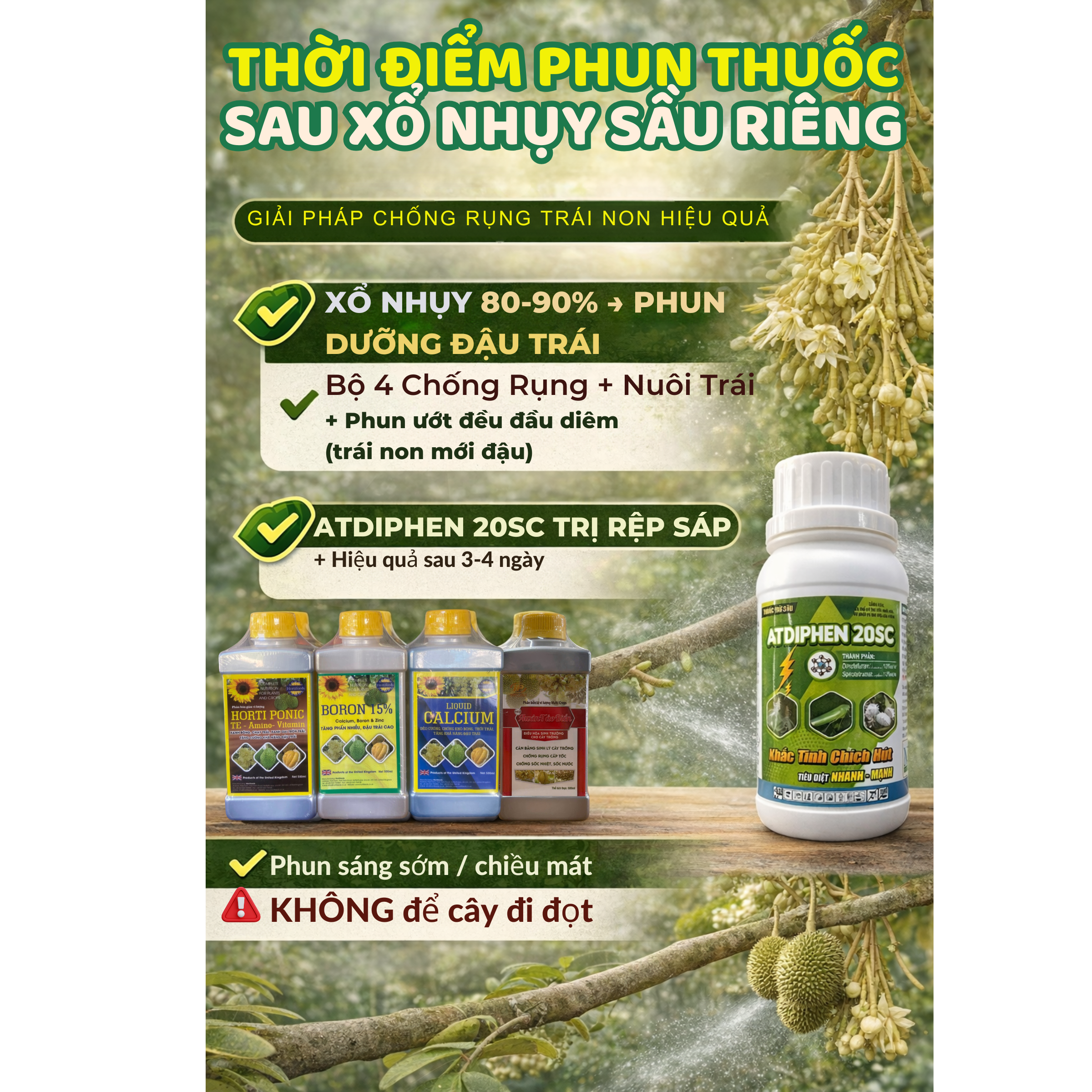 THOI DIEM PHUN THUOC SAU XO NHUY SAU RIENG