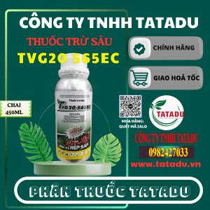 TVG20 565EC 1