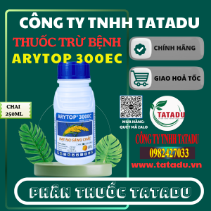 ARYTOP 300EC