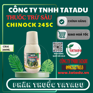 CHINOCK 24SC NAM BAC
