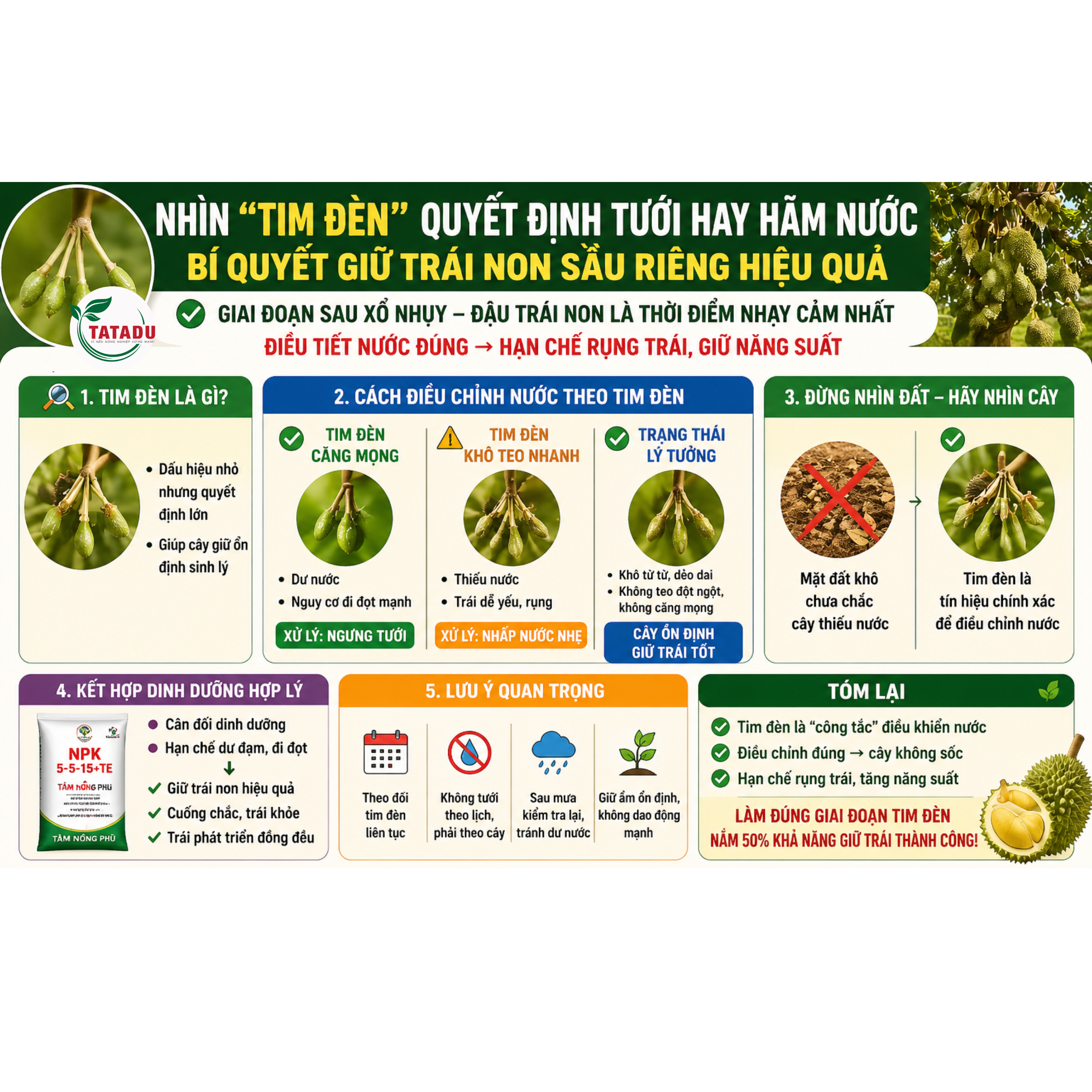 NHIN TIM DEN QUYET DINH TUOI HAY HAM NUOC – BI QUYET GIU TRAI NON SAU RIENG HIEU QUA