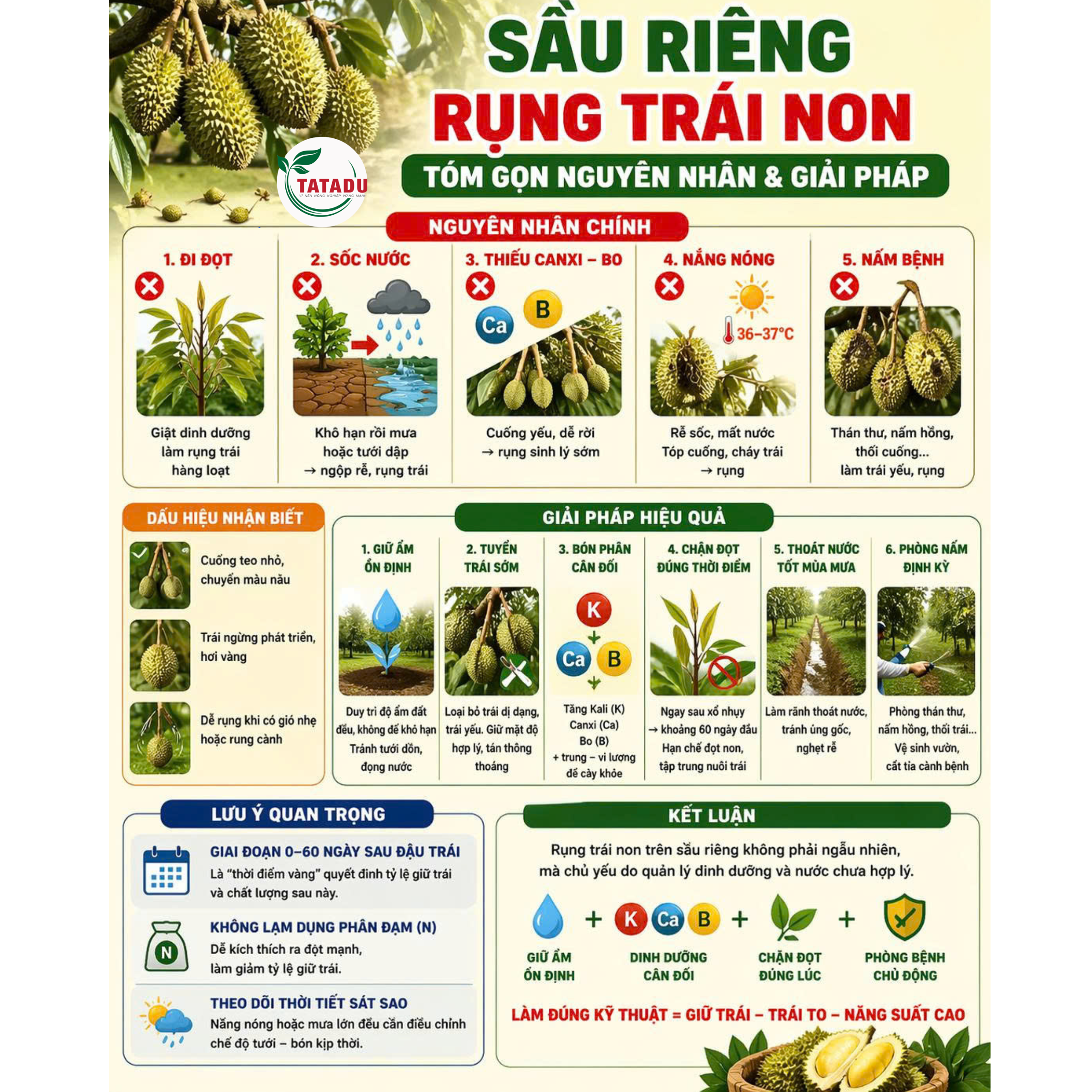 SAI LAM KHIEN SAU RIENG RUNG TRAI NON HANG LOAT NGUYEN NHAN GIAI PHAP HIEU QUA