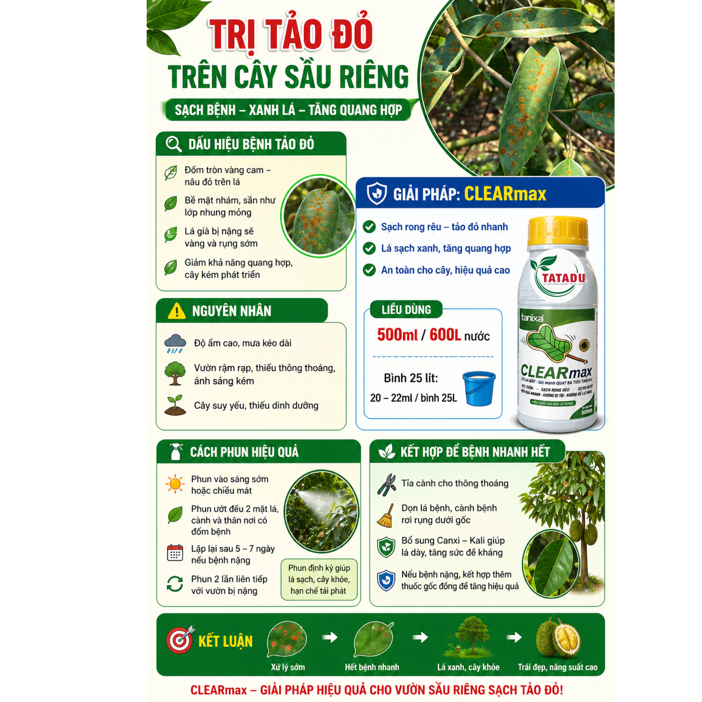 TRI TAO DO TREN CAY SAU RIENG