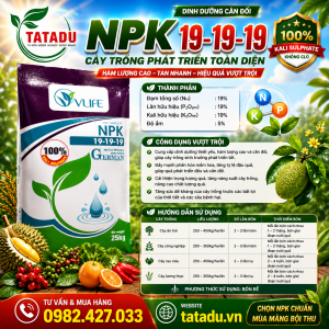 NPK 19-19-19