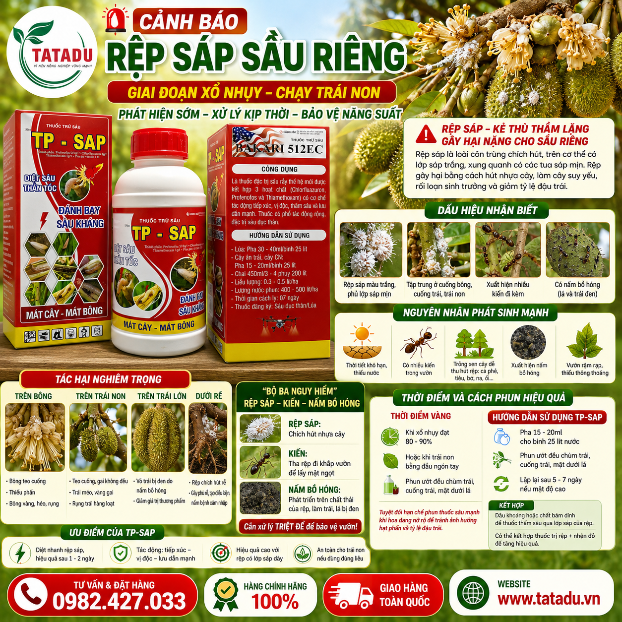 CẢNH BÁO RỆP SÁP SẦU RIÊNG GIAI ĐOẠN XỔ NHỤY – TRÁI NON & GIẢI PHÁP HIỆU QUẢ