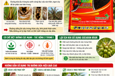 THUỐC TRỊ ĐUÔNG DỪA HIỆU QUẢ TẬN GỐC – SIEUGON 85GR GIẢI PHÁP NHÀ VƯỜN TIN DÙNG