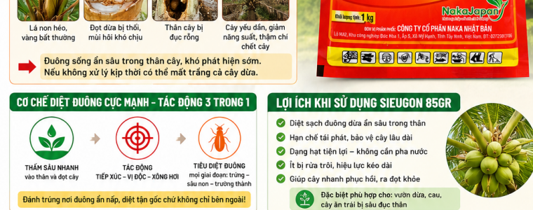 THUỐC TRỊ ĐUÔNG DỪA HIỆU QUẢ TẬN GỐC – SIEUGON 85GR