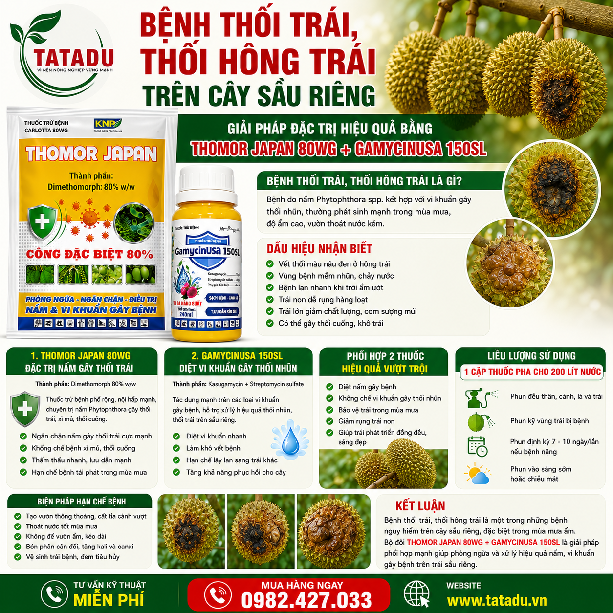 BỆNH THỐI TRÁI, THỐI HÔNG TRÁI TRÊN CÂY SẦU RIÊNG GIẢI PHÁP ĐẶC TRỊ HIỆU QUẢ BẰNG THOMOR JAPAN 80WG + GAMYCINUSA 150SL