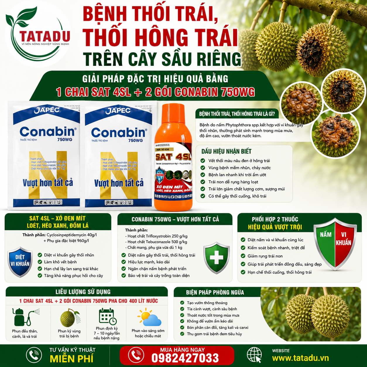BỆNH THỐI TRÁI, THỐI HÔNG TRÁI SẦU RIÊNG – GIẢI PHÁP ĐẶC TRỊ HIỆU QUẢ BẰNG SAT 4SL + CONABIN 750WG