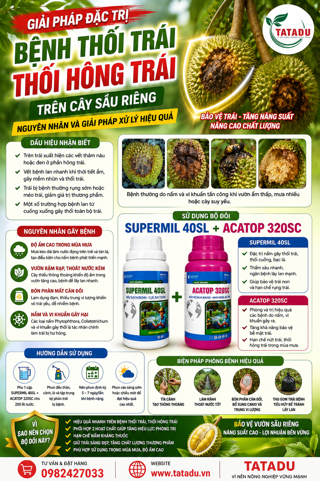 BỆNH THỐI TRÁI, THỐI HÔNG TRÁI TRÊN CÂY SẦU RIÊNG: NGUYÊN NHÂN VÀ GIẢI PHÁP XỬ LÝ HIỆU QUẢ