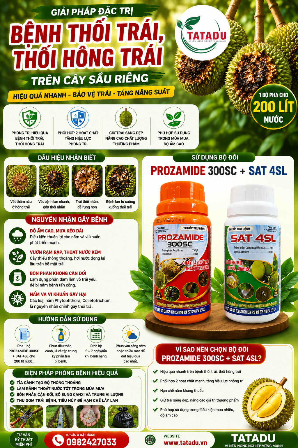 BỆNH THỐI TRÁI, THỐI HÔNG TRÁI TRÊN CÂY SẦU RIÊNG GIẢI PHÁP HIỆU QUẢ VỚI PROZAMIDE 300SC + SAT 4SL