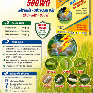 BOMBIGOLD 500WG HIỆU RẦY NHẬT