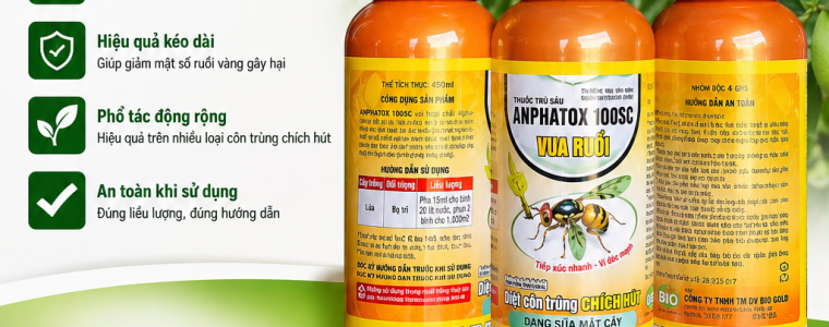 TRỊ RUỒI VÀNG HẠI BƯỞI HIỆU QUẢ BẰNG ANPHATOX 100SC