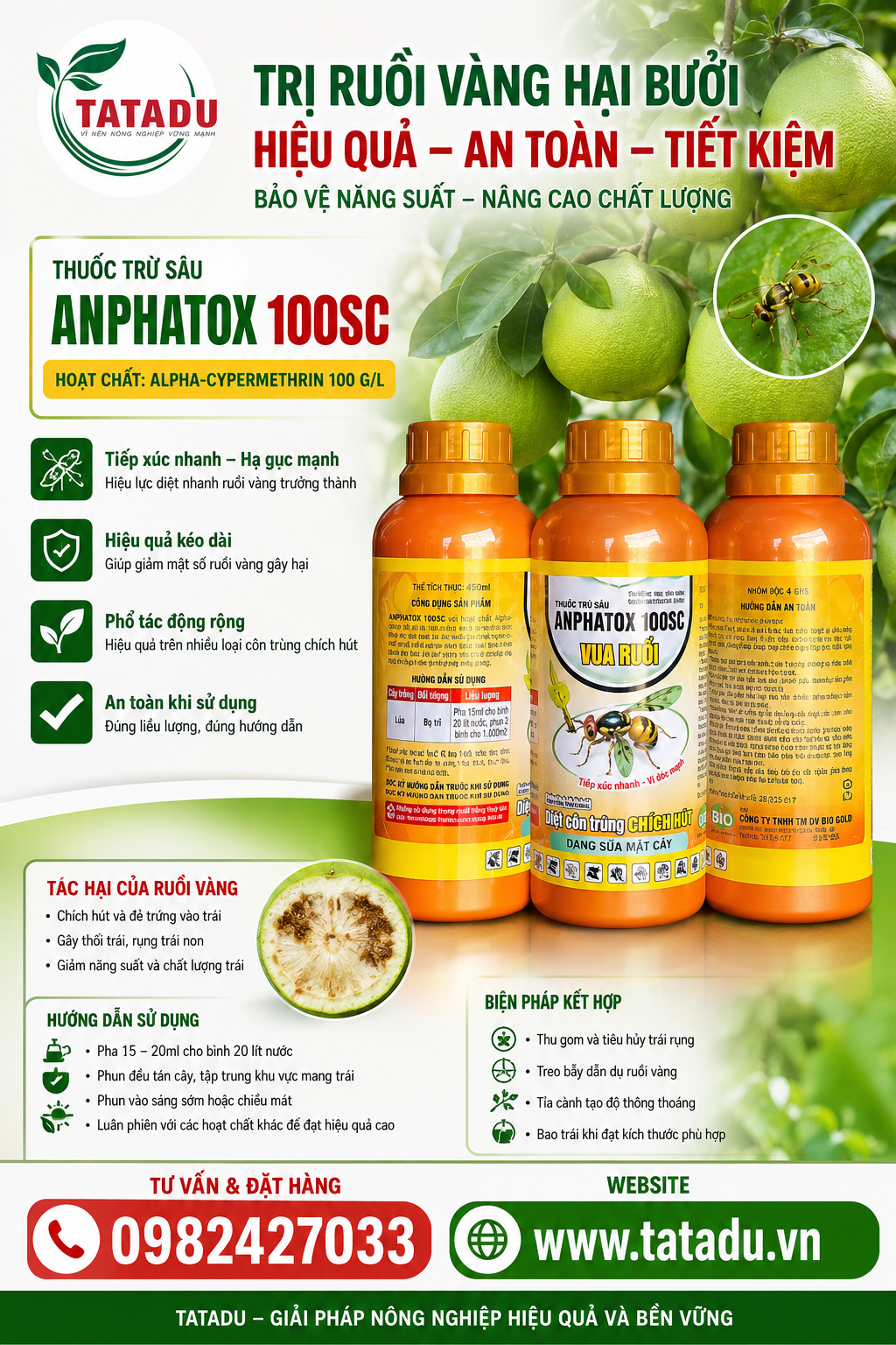 TRỊ RUỒI VÀNG HẠI BƯỞI HIỆU QUẢ BẰNG ANPHATOX 100SC