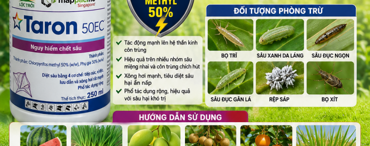 TARON 50EC – GIẢI PHÁP ĐẶC TRỊ SÂU HẠI MẠNH MẼ