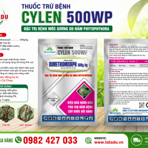 CYLEN 500WP