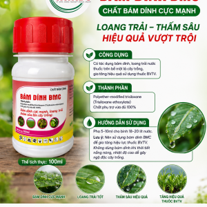 BÁM DÍNH BMC