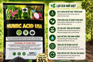 HUMIC ACID USA – BẬT RỄ CỰC MẠNH, PHỤC HỒI CÂY NHANH, TĂNG NĂNG SUẤT VƯỢT TRỘI