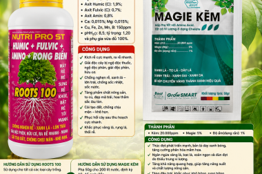 MUA 1 CHAI ROOTS 100 1 LÍT TẶNG 1 GÓI MAGIE KẼM 50GR – GIẢI PHÁP TOÀN DIỆN DƯỠNG RỄ, XANH LÁ, TĂNG NĂNG SUẤT