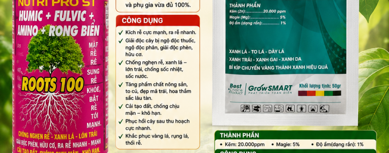 Bộ đôi Roots 100 + Magie Kẽm