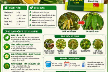 MAGIE KẼM BO – GIẢI PHÁP GIÚP SẦU RIÊNG XANH LÁ, DÀY LÁ, TĂNG QUANG HỢP, NUÔI TRÁI KHỎE