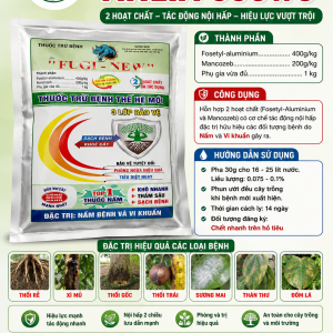 ANLIA 600WG HIEU FUGI NEW