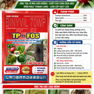 BINYVIL 70WP HIEU TP FOS