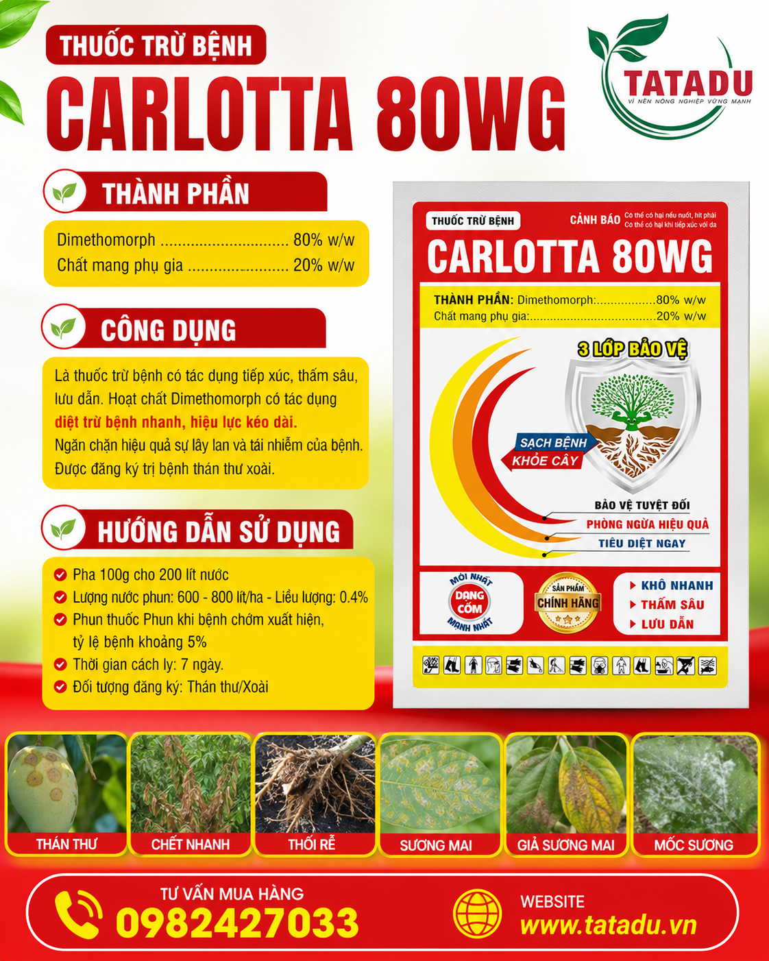 CARLOTTA 80WG CARLOTTA 80WG