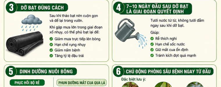 DO BAT SAU RIENG LAM NGHICH VU 6 NGUYEN TAC VANG GIUP GIU MAT CUA HAN CHE SOC NUOC RA HOA DONG LOAT