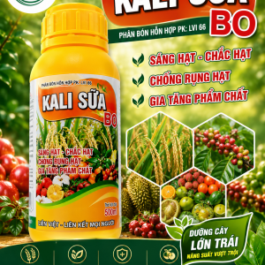KALI SUA BO