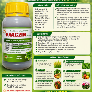 MAGZIN HUU CO